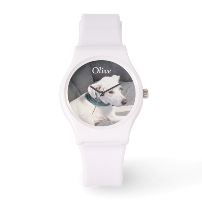 Cute White Dog Wearing Green Scarf Pet Lovers  Watch (Front)