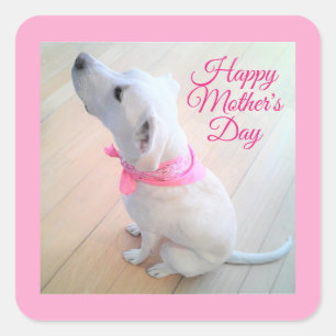 Cute White Dog Wearing Pink Scarf Mother's Day Square Sticker