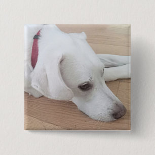 Cute White dog Wearing Red Collar Christmas 15 Cm Square Badge