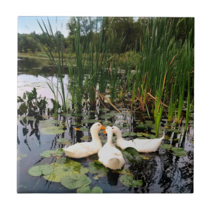 Cute White ducks, lily pads, cattails, lake shore Tile