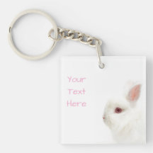Cute White Dwarf Rabbit Delicate Ears Pet Sitter