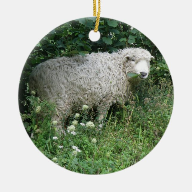 Cute White Fluffy Sheep Eating Ceramic Tree Decoration (Front)