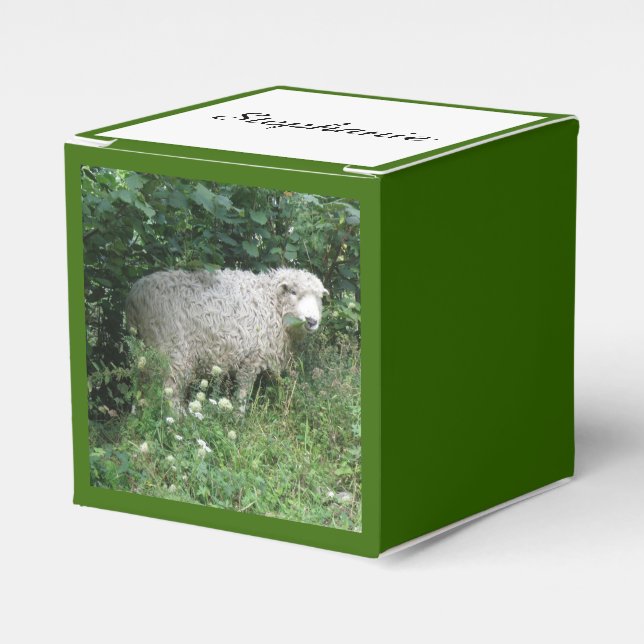 Cute White Fluffy Sheep Eating Custom Favour Box (Front Side)