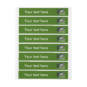 Cute White Fluffy Sheep Eating Customisable Labels