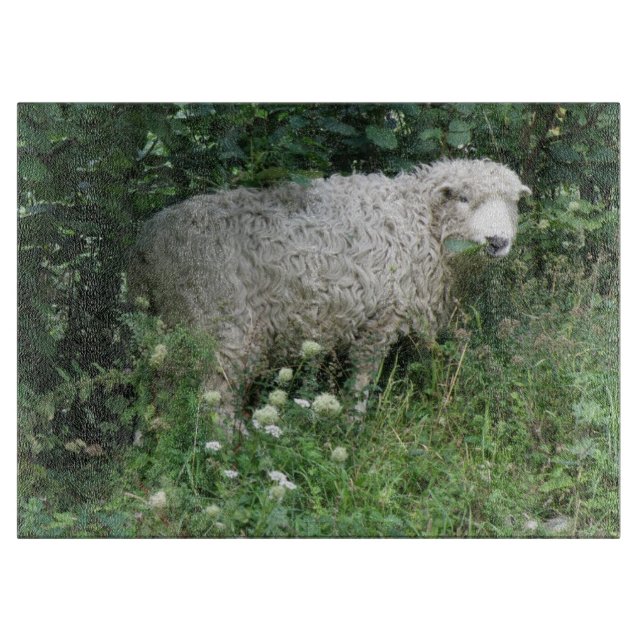 Cute White Fluffy Sheep Eating Cutting Board (Front)