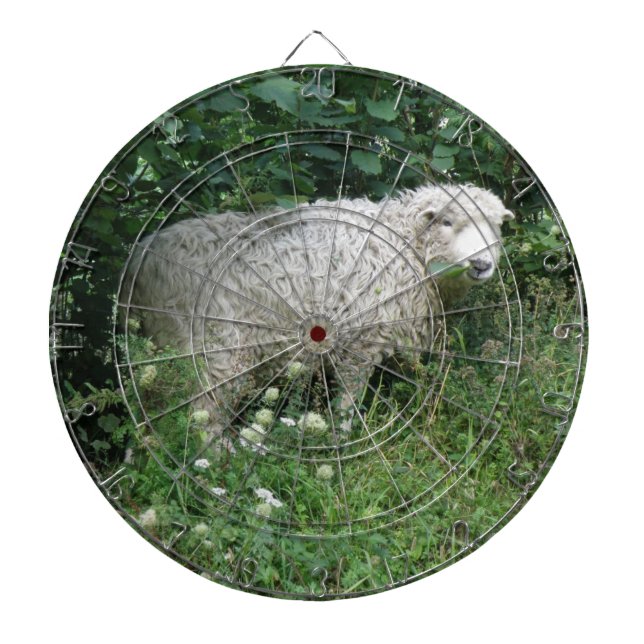 Cute White Fluffy Sheep Eating Dart Board (Front)