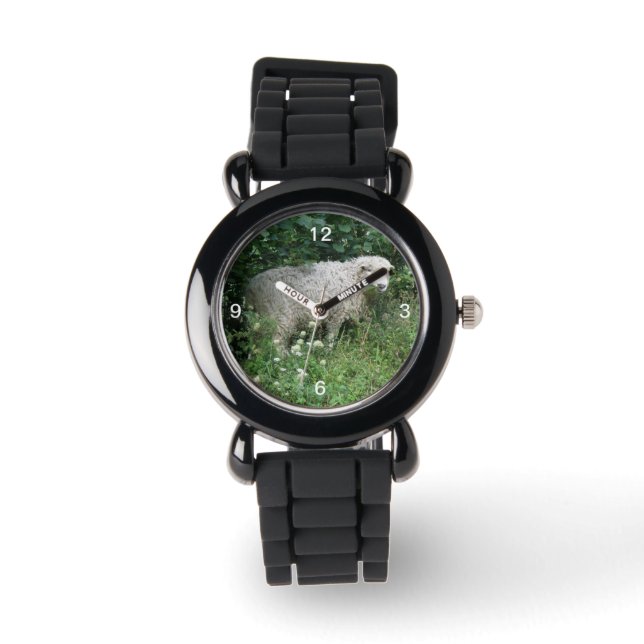 Cute White Fluffy Sheep Eating Glitter Watch (Front)