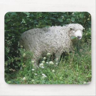 Cute White Fluffy Sheep Eating Mousepad