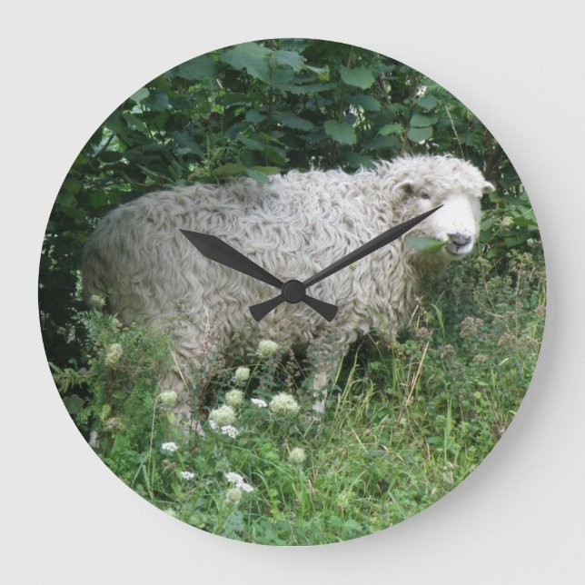 Cute White Fluffy Sheep Eating Wall Clock (Front)