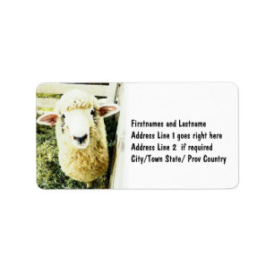 Cute White Fluffy Sheep Label