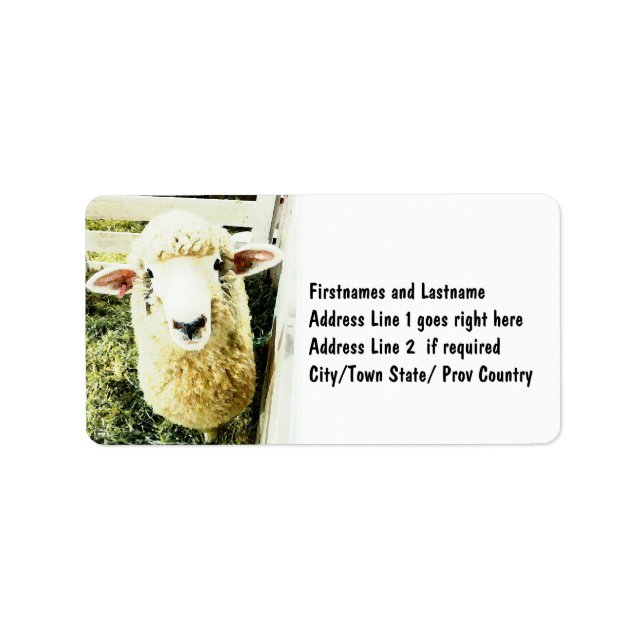Cute White Fluffy Sheep Label (Front)