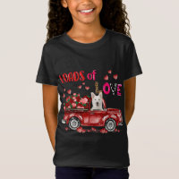 Cute White German Shepherd Dog Driving Red Truck H