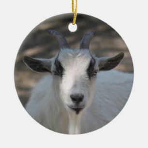 Cute White Goat Portrait Photo Ceramic Tree Decoration