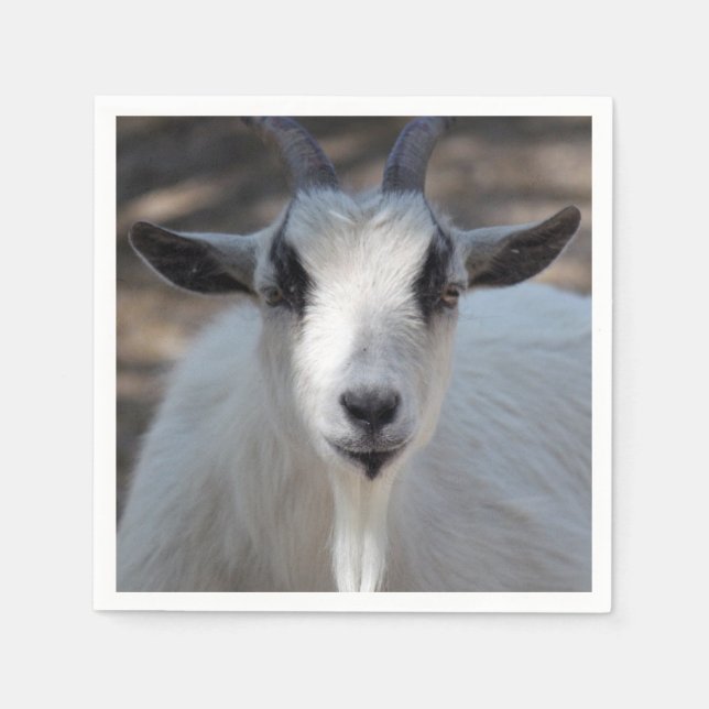 Cute White Goat Portrait Photo Napkin (Front)