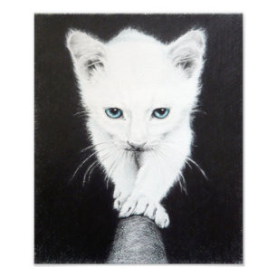 Cute white kitten Animal drawing art Cat lovers Photo Print