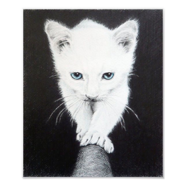 Cute white kitten Animal drawing art Cat lovers Photo Print (Front)