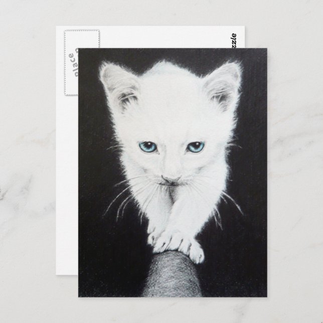 Cute white kitten Animal drawing art Cat lovers Postcard (Front/Back)