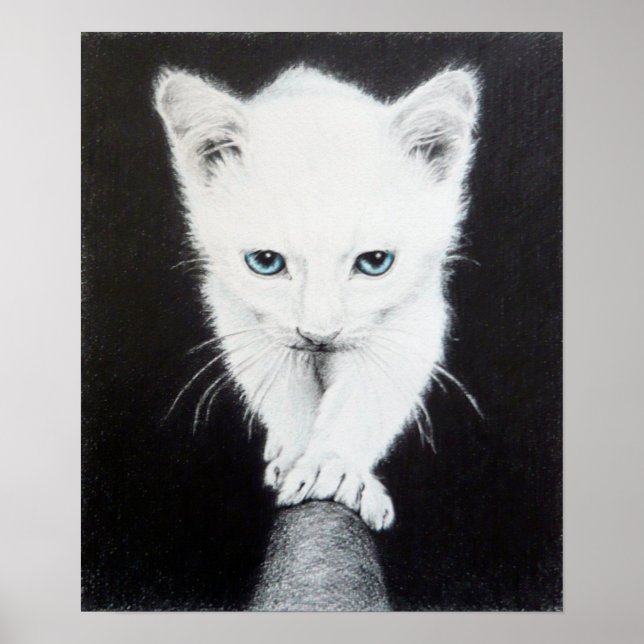 Cute white kitten Animal drawing art Cat lovers Poster (Front)