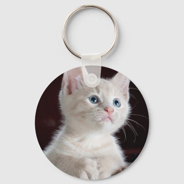 Cute white kitten key ring (Front)