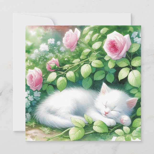 Cute White Kitten Napping Under Rosebush (Front)
