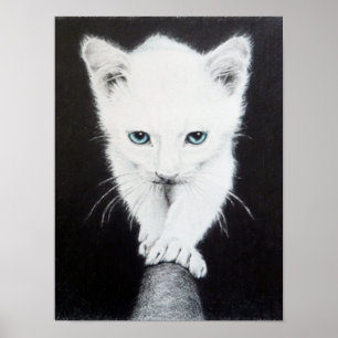 Cute white kitten pencil art Poster print