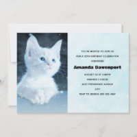 Cute White Kitten with Pretty Blue Eyes Birthday