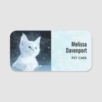 Cute White Kitten with Pretty Blue Eyes