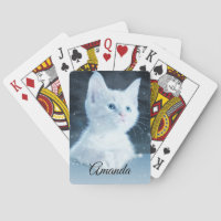 Cute White Kitten with Pretty Blue Eyes on