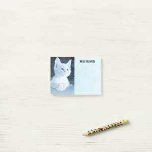 Cute White Kitten with Pretty Blue Eyes Post-it Notes