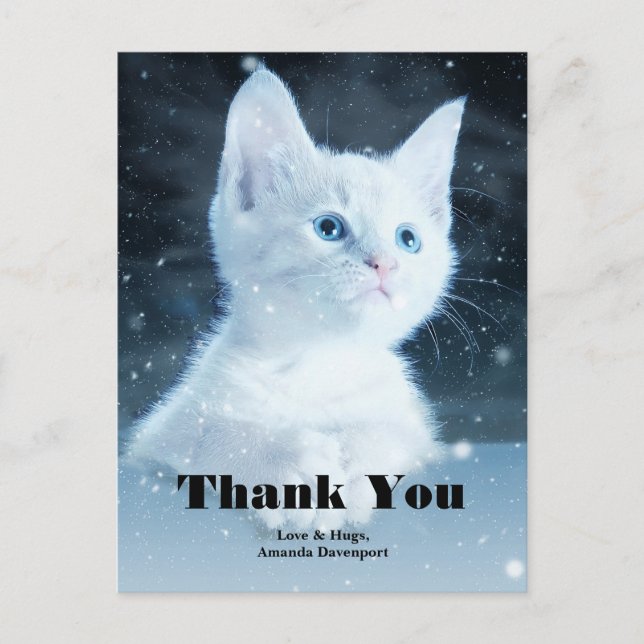 Cute White Kitten with Pretty Blue Eyes Thank You Postcard (Front)