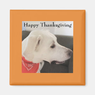Cute White Labrador Mix Dog Thanksgiving orange Magnet