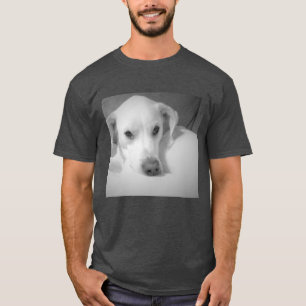 Cute White Labrador Mix Dog With Soulful Grey T-Shirt