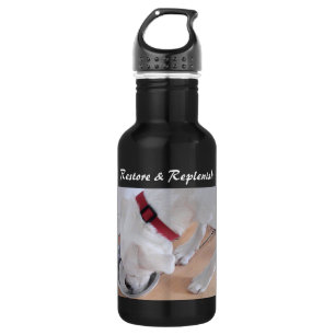 Cute White Labrador Mix Puppy Dog Drinking Restore 532 Ml Water Bottle