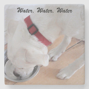 Cute White Labrador Mix Puppy Dog Drinking Water Stone Coaster