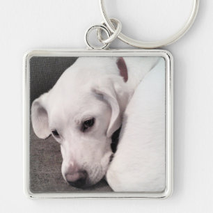 Cute White Lazy Labrador Retriever Mix Dog Keychai Key Ring