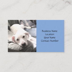 Cute White Lazy Puppy Dog on Couch With Dad Blue Business Card