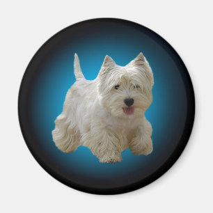 Cute White Maltese Dog Magnet
