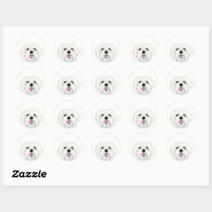 cute white maltese pet dog classic round sticker