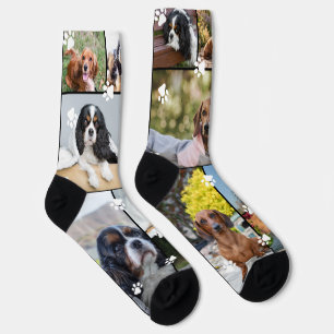 Cute White Paw Prints 14 Pet Photos Socks