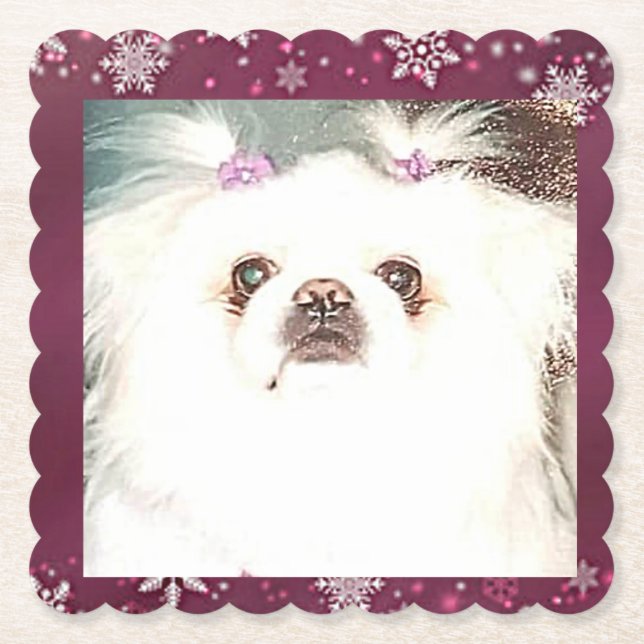 Cute White Pekingese Paper Coasters (Front)