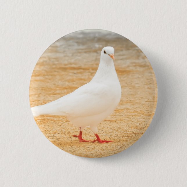 Cute White Pigeon Bird 6 Cm Round Badge (Front)