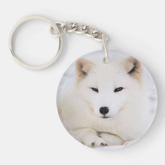 Cute White polar fox Key Ring (Front)