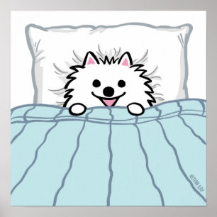 Cute White Pomeranian Dog Tucked in Bed  Poster