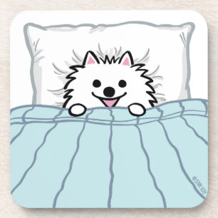 Cute White Pomeranian Dog Tucked into Bed Coaster