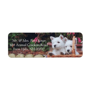 Cute White Puppies Return Address Mailing Stickers