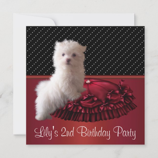 Cute White Puppy Birthday Party Invitations (Front)