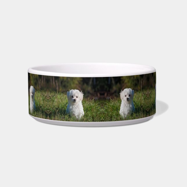 Cute white puppy bowl (Front)