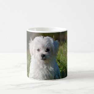 Cute white puppy coffee mug