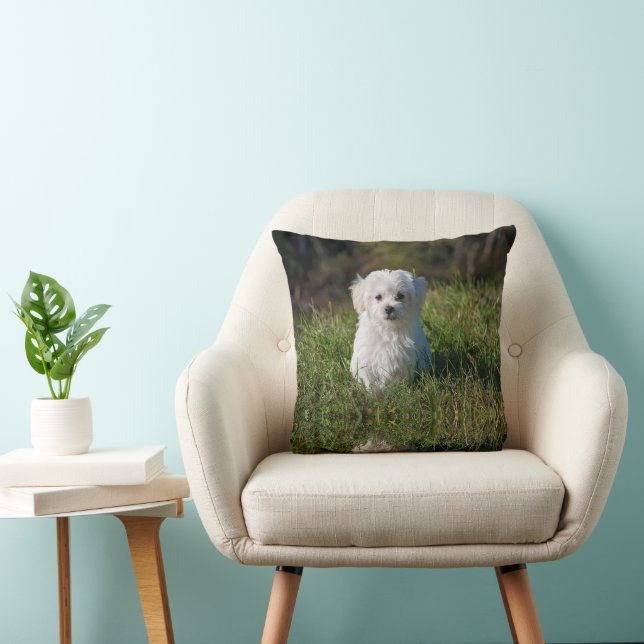 Cute white puppy cushion (Chair)
