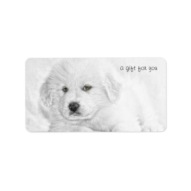 Cute White Puppy Cushion Gift Labels (Front)